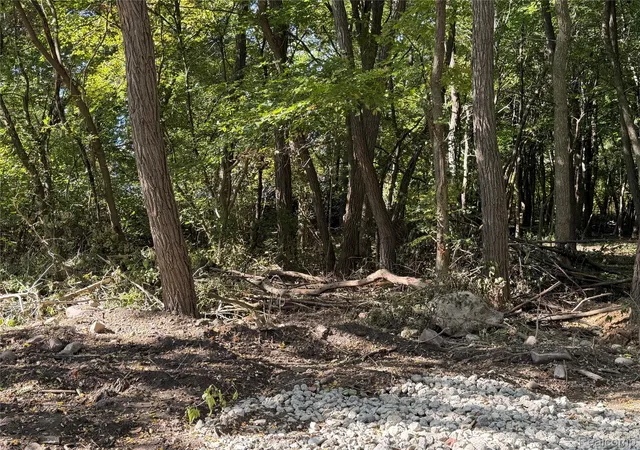 Photo 3 of Land for sale at Vl Wildwood 007 Wildwood Rd, Groveland Township Oakland, MI 48350 | MLS# 20261081493 | Listing updated on 2026-10-08