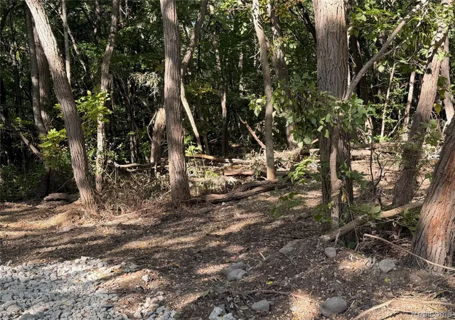 Photo 3 of Land for sale at Vl Wildwood 296a 007 Wildwood Rd, Holly, MI 48350 | MLS# 20261081493 | Listing updated on 2026-10-08