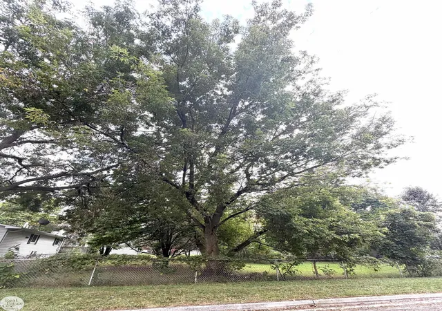 Photo 2 of Land for sale at 0 Mabel St, Marine City, MI 48039 | MLS# 58050224190 | Listing updated on 2026-10-09