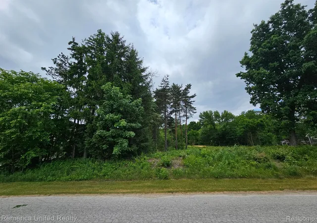 Photo 1 of Land for sale at 10512 Oak Forest Dr, South Lyon, MI 48178 | MLS# 20261081650 | Listing updated on 2026-10-08