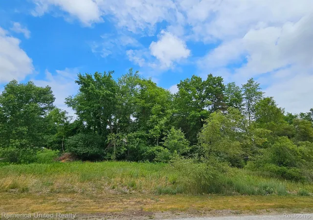 Photo 1 of Land for sale at 10536 Oak Shore Dr, South Lyon, MI 48178 | MLS# 20261081660 | Listing updated on 2026-10-08
