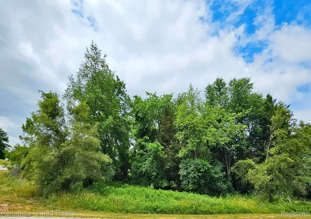 Photo 3 of Land for sale at 10536 Oak Shore Dr, South Lyon, MI 48178 | MLS# 20261081660 | Listing updated on 2026-10-08