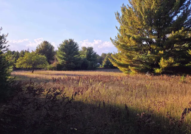 Photo 1 of Land for sale at 8 Vl Betsie River Rd, Interlochen, MI 49643 | MLS# 78080074354 | Listing updated on 2026-10-14
