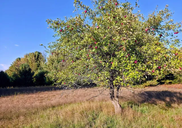 Photo 1 of Land for sale at 10 Vl Betsie River Rd, Interlochen, MI 49643 | MLS# 78080074352 | Listing updated on 2026-10-14