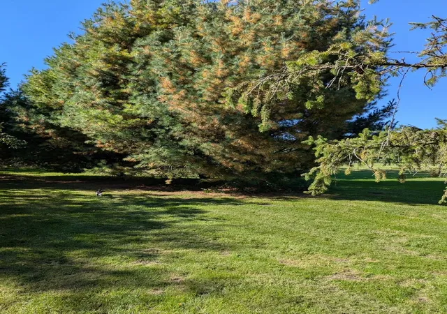Photo 3 of Single family home for sale at 11130 Landon Rd, Baroda, MI 49101 | MLS# 69026053799 | Listing updated on 2026-10-08