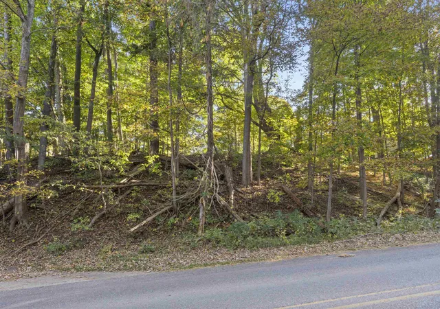 Photo 2 of Land for sale at 00 Traverse Ave, Benzonia, MI 49616 | MLS# 78080074389 | Listing updated on 2026-10-12