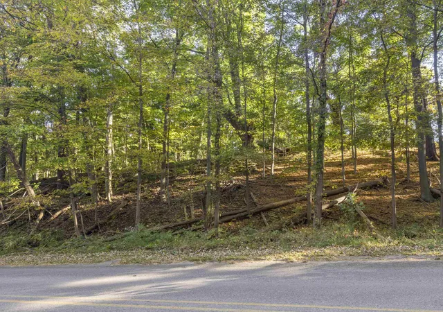 Photo 3 of Land for sale at 00 Traverse Ave, Benzonia, MI 49616 | MLS# 78080074389 | Listing updated on 2026-10-12