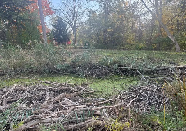 Photo 2 of Land for sale at 24960 Crocker Blvd, Harrison Township, MI 48045 | MLS# 20261087110 | Listing updated on 2026-10-29