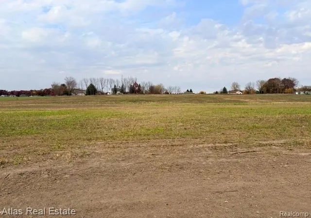 Photo 4 of Land for sale at 9501 Green Rd, Goodrich, MI 48438 | MLS# 20261087324 | Listing updated on 2026-10-28