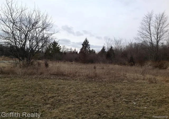 Photo 4 of Land for sale at Vl Mason Rd, Howell, MI 48843 | MLS# 2210037814 | Listing updated on 2026-09-18
