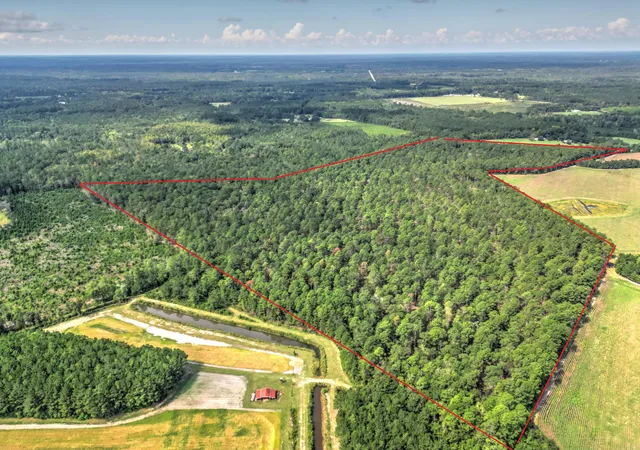 Photo 1 of Land for sale at 00 School House Rd, Ruffin, SC 29475 | MLS# 26025174 | Listing updated on 2026-09-29