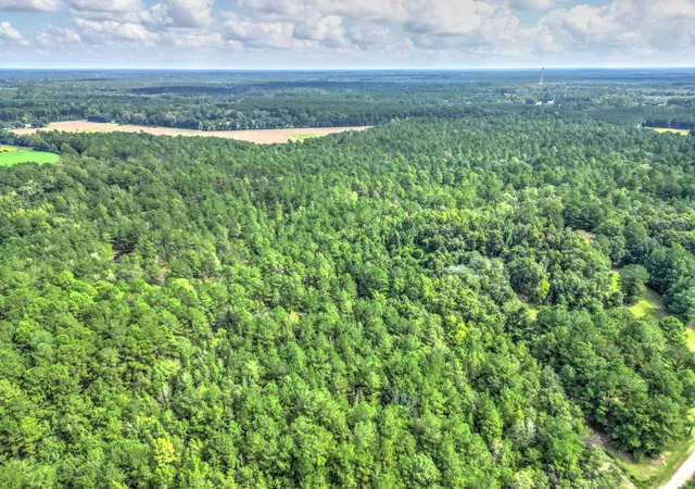 Photo 3 of Land for sale at 00 School House Rd, Ruffin, SC 29475 | MLS# 26025174 | Listing updated on 2026-09-29