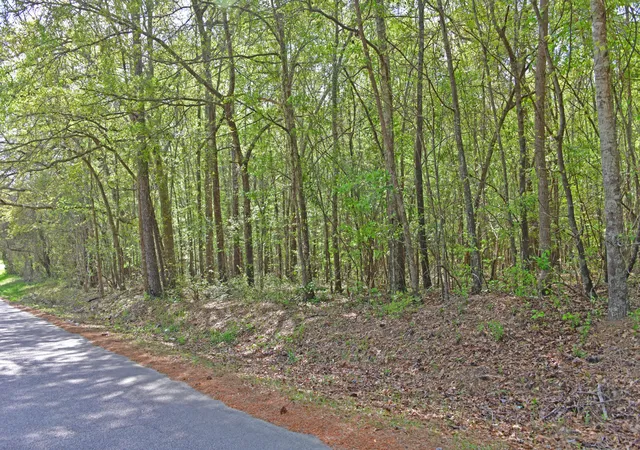 Photo 1 of Land for sale at 0 Ridgelake(lot 8,9,10,11) Cir, Saint Matthews, SC 29135 | MLS# 26027529 | Listing updated on 2026-10-04