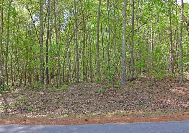 Photo 2 of Land for sale at 0 Ridgelake(lot 8,9,10,11) Cir, Saint Matthews, SC 29135 | MLS# 26027529 | Listing updated on 2026-10-04