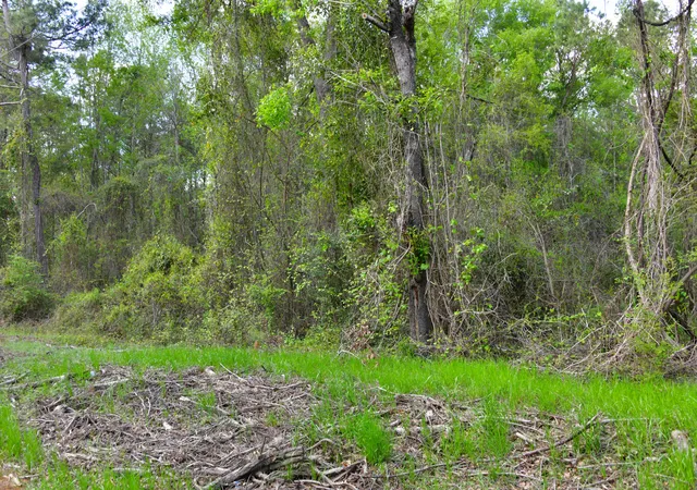 Photo 3 of Land for sale at 0 Ridgelake(lot 8,9,10,11) Cir, Saint Matthews, SC 29135 | MLS# 26027529 | Listing updated on 2026-10-04