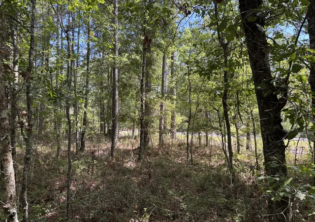 Photo 1 of Land for sale at Tbd Red Oak Rd, Cottageville, SC 29435 | MLS# 26026031 | Listing updated on 2026-09-17