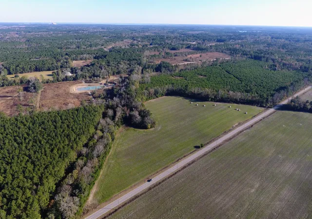 Photo 3 of Land for sale at 0 Rocks Pond Rd #Lot O, Eutawville, SC 29048 | MLS# 26025424 | Listing updated on 2026-09-11