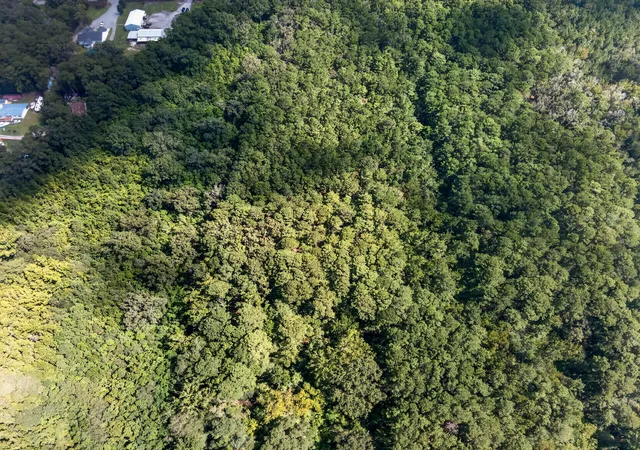 Photo 2 of Land for sale at 00 Mallard Rd, Summerville, SC 29483 | MLS# 26025126 | Listing updated on 2026-09-07
