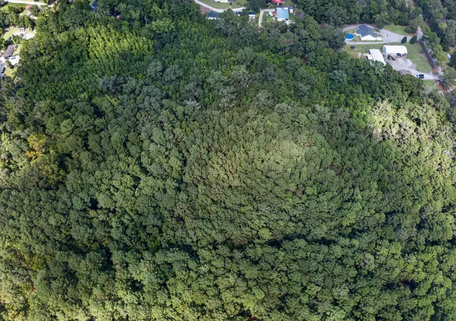 Photo 3 of Land for sale at 00 Mallard Rd, Summerville, SC 29483 | MLS# 26025126 | Listing updated on 2026-09-07