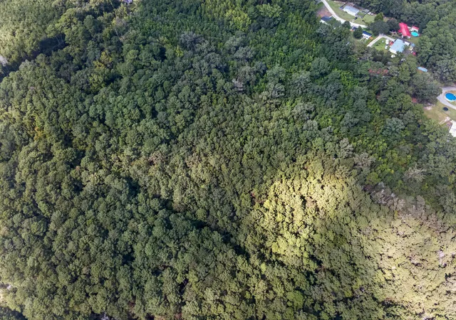 Photo 4 of Land for sale at 00 Mallard Rd, Summerville, SC 29483 | MLS# 26025126 | Listing updated on 2026-09-07
