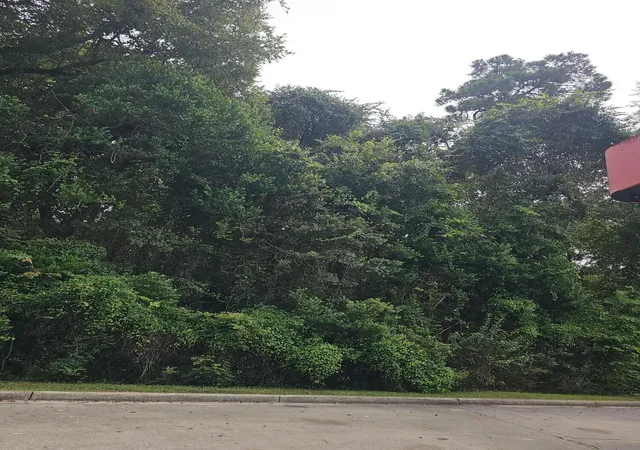 Photo 1 of Land for sale at 0 Moore St, Walterboro, SC 29488 | MLS# 26025294 | Listing updated on 2026-09-08