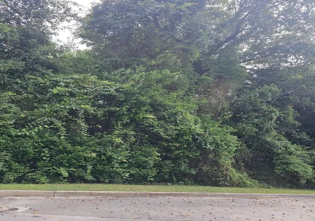 Photo 2 of Land for sale at 0 Moore St, Walterboro, SC 29488 | MLS# 26025294 | Listing updated on 2026-09-08