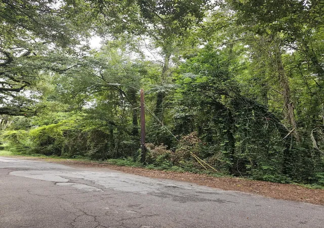 Photo 3 of Land for sale at 0 Moore St, Walterboro, SC 29488 | MLS# 26025294 | Listing updated on 2026-09-08
