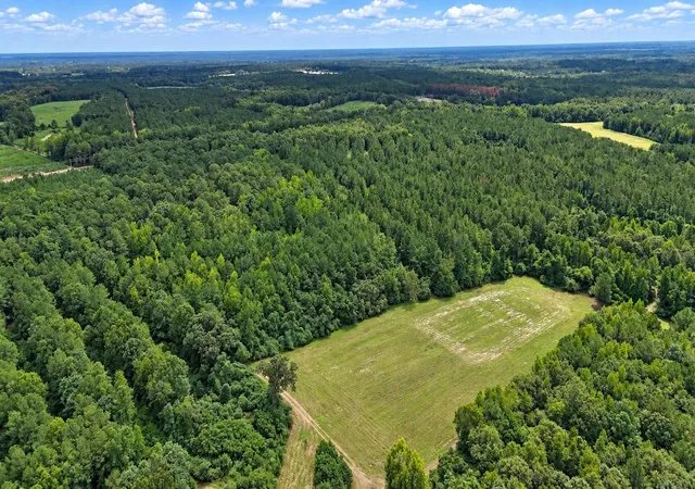 Land for sale at 286 Shrike Rd, Saint Matthews, SC 29135 | MLS# 26025683