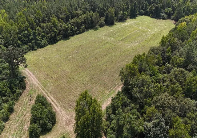 Photo 3 of Land for sale at 286 Shrike Rd, Saint Matthews, SC 29135 | MLS# 26025683 | Listing updated on 2026-09-12