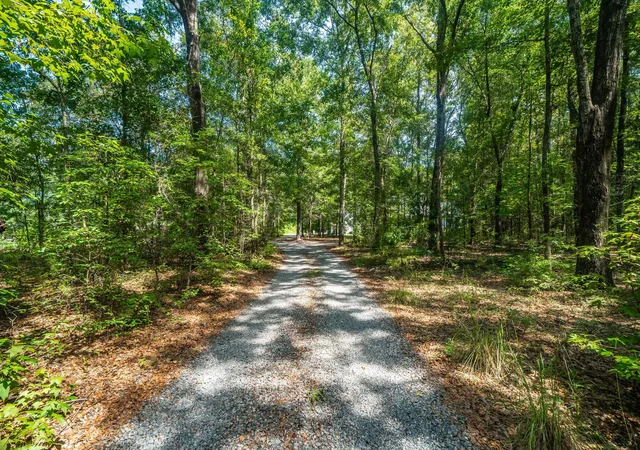 Photo 3 of Single family home for sale at 2826 Edenborough Rd, Johns Island, SC 29455 | MLS# 26025071 | Listing updated on 2026-09-14