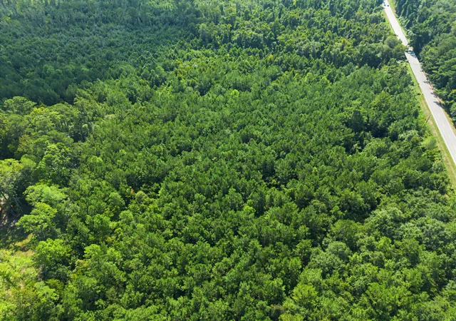 Photo 3 of Land for sale at Tbd Lot 5 Industrial Rd, Walterboro, SC 29488 | MLS# 26024341 | Listing updated on 2026-09-11