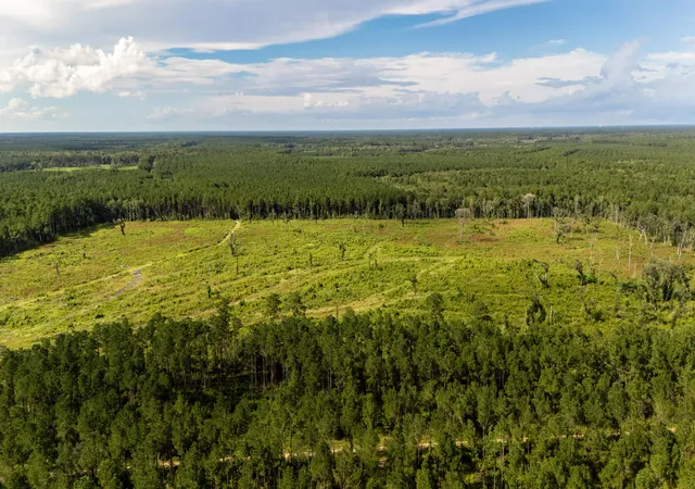 Land for sale at 00 Greenwood Rd, Adams Run, SC 29426 | MLS# 26026518