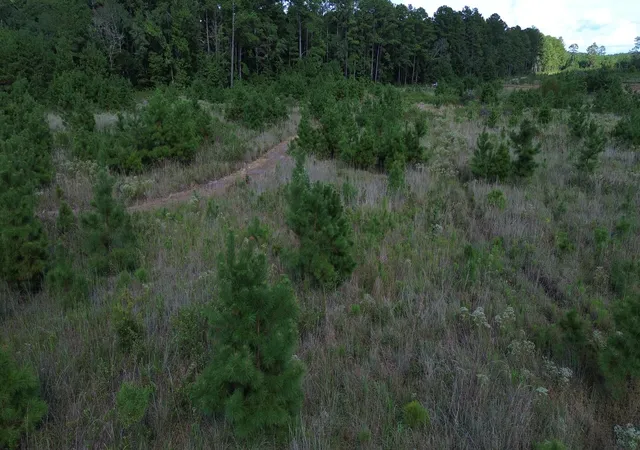 Photo 23 of Sale Pending at 1 Bethel Forest Rd, Rowesville, SC 29133 | MLS# 26024702 | Listing updated on 2026-09-29