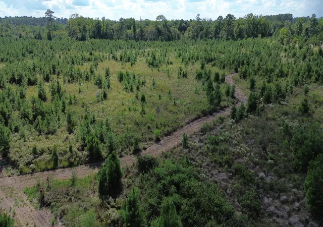 Photo 2 of Sale Pending at 1 Bethel Forest Rd, Rowesville, SC 29133 | MLS# 26024702 | Listing updated on 2026-09-29