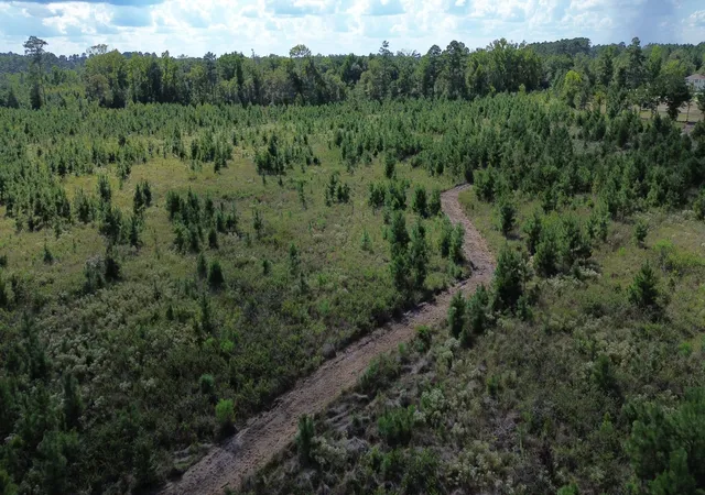Photo 3 of Sale Pending at 1 Bethel Forest Rd, Rowesville, SC 29133 | MLS# 26024702 | Listing updated on 2026-09-29