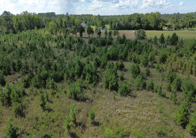 Photo 4 of Sale Pending at 1 Bethel Forest Rd, Rowesville, SC 29133 | MLS# 26024702 | Listing updated on 2026-09-29