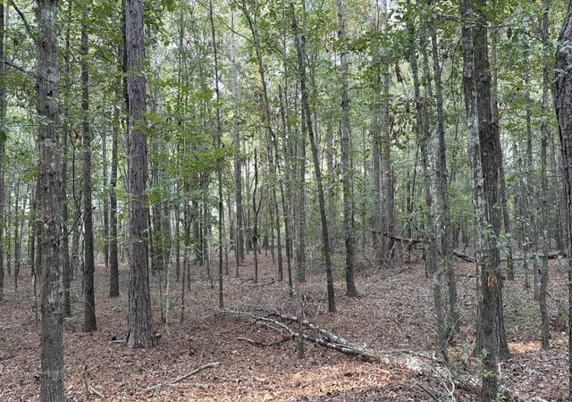Photo 2 of Land for sale at 0 Fire Tower Rd, Salley, SC 29137 | MLS# 26024736 | Listing updated on 2026-09-01