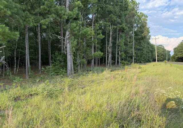 Photo 3 of Land for sale at 0 Fire Tower Rd, Salley, SC 29137 | MLS# 26024736 | Listing updated on 2026-09-01