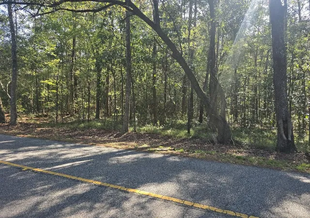 Photo 2 of Land for sale at 2442 Peirce Rd, Cottageville, SC 29435 | MLS# 26028522 | Listing updated on 2026-10-22