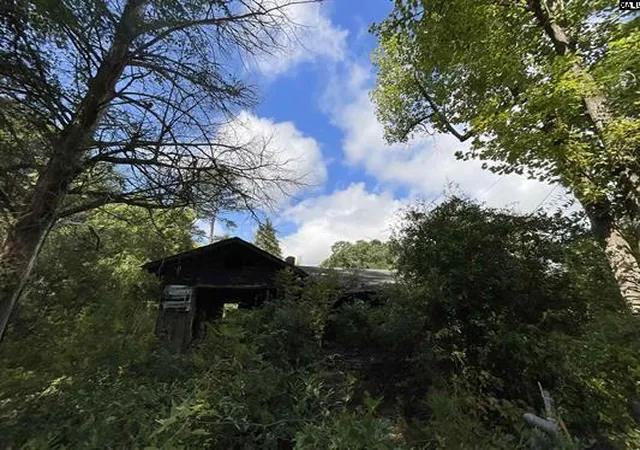 Photo 4 of Single family home for sale at 66 Swan Ln, Bamberg, SC 29003 | MLS# 26027014 | Listing updated on 2026-09-29
