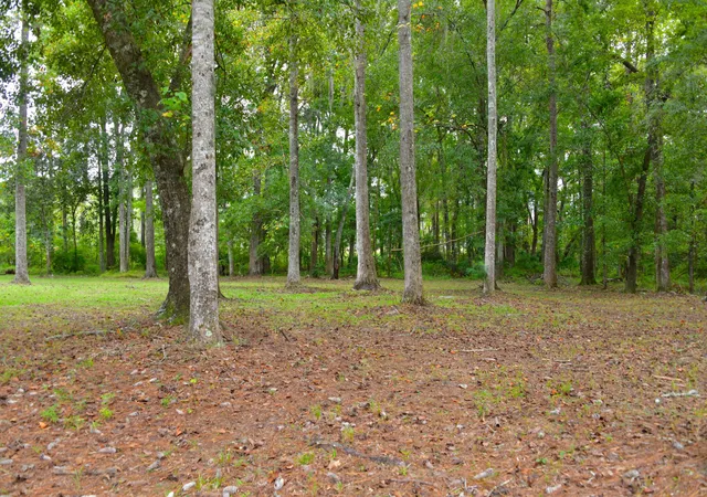 Photo 1 of Land for sale at 6441 Highway 162, Hollywood, SC 29449 | MLS# 26028069 | Listing updated on 2026-10-10