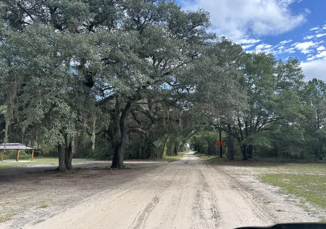 Photo 2 of Land for sale at 938 Mars Old, Cottageville, SC 29435 | MLS# 26027672 | Listing updated on 2026-10-06