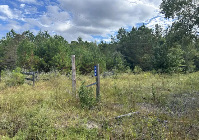 Photo 3 of Land for sale at 938 Mars Old, Cottageville, SC 29435 | MLS# 26027672 | Listing updated on 2026-10-06