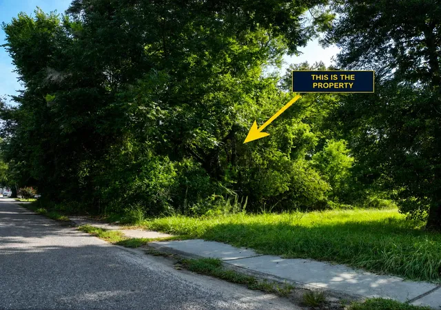 Photo 3 of Land for sale at 0 Blanchard St, Walterboro, SC 29488 | MLS# 26024146 | Listing updated on 2026-09-12