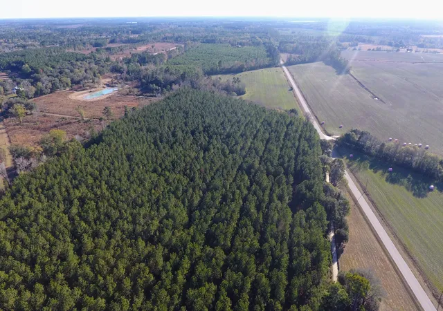 Photo 3 of Land for sale at 0 Rocks Pond Rd #Lot G, Eutawville, SC 29048 | MLS# 26025405 | Listing updated on 2026-09-11