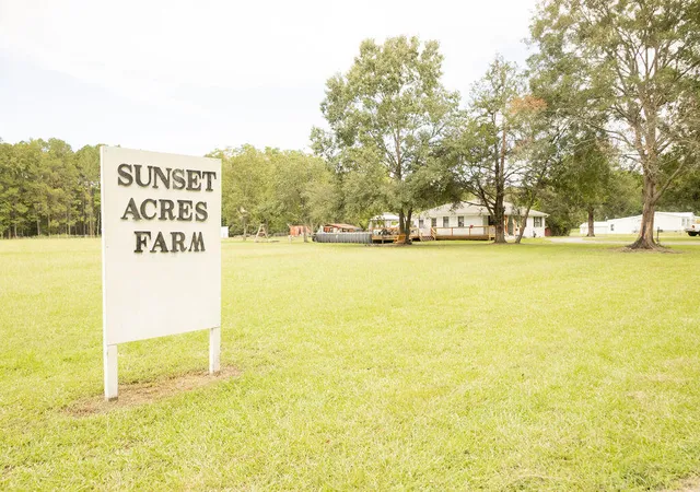 Single family home for sale at 10007 Jacksonboro Rd, Cottageville, SC 29435 | MLS# 26025525