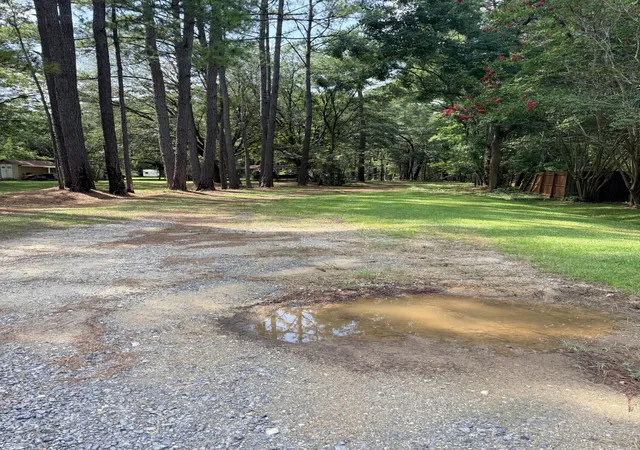 Photo 1 of Land for sale at 109 Cattail Ct, Moncks Corner, SC 29461 | MLS# 26025219 | Listing updated on 2026-09-09