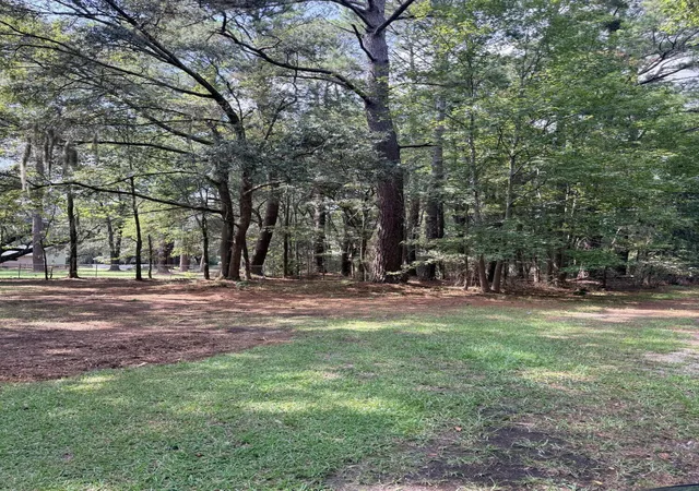 Photo 2 of Land for sale at 109 Cattail Ct, Moncks Corner, SC 29461 | MLS# 26025219 | Listing updated on 2026-09-09