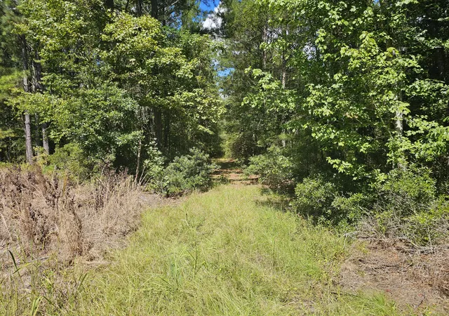 Photo 1 of Land for sale at 0 Mcalhany Rd, Reevesville, SC 29471 | MLS# 26025632 | Listing updated on 2026-09-29