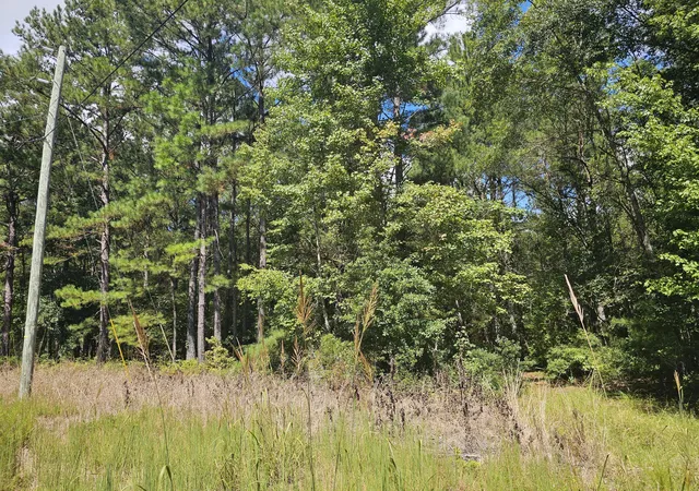 Photo 2 of Land for sale at 0 Mcalhany Rd, Reevesville, SC 29471 | MLS# 26025632 | Listing updated on 2026-09-29